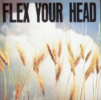 Various : Flex Your Head (CD, Comp, RE, RM)