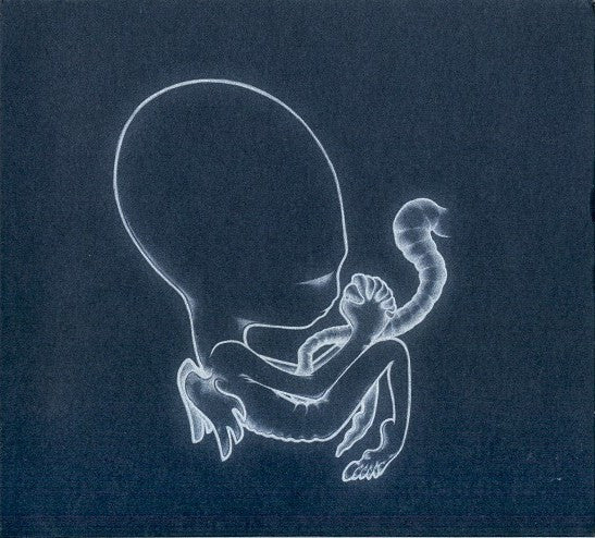 Sigur Rós : Ágætis Byrjun (CD, Album, RE, Dig)