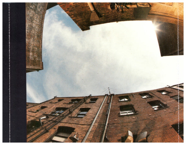 Mudhoney : Tomorrow Hit Today (CD, Album)