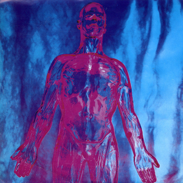 Nirvana : Sliver (7", Single)