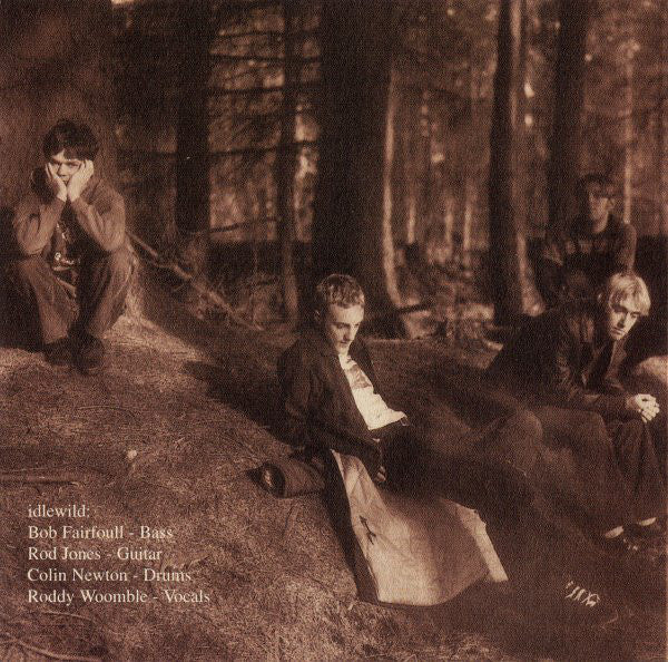 Idlewild : Hope Is Important (CD, Album)