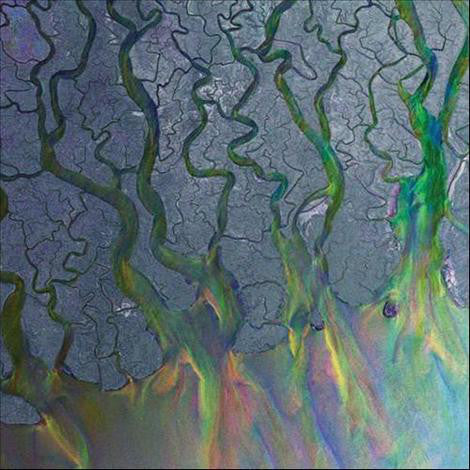 alt-J : An Awesome Wave (CD, Album)