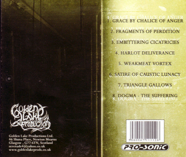 Death Du Jour : Fragments Of Perdition (CD, Album)