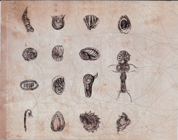 Asaf Avidan & The Mojos : The Reckoning (CD, Album, RE)