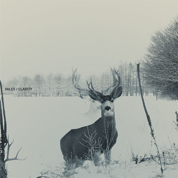 Vales (2) : Clarity (12", S/Sided, EP, Ltd, RP, Cle)