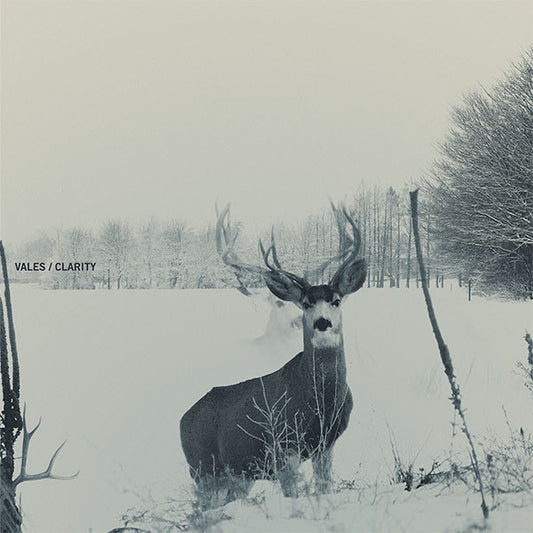 Vales (2) : Clarity (12", S/Sided, EP, Ltd, RP, Cle)