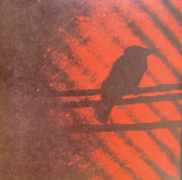 The Silver Mt. Zion Memorial Orchestra & Tra-la-la Band* : Born Into Trouble As The Sparks Fly Upward (2x10", Album, RP)