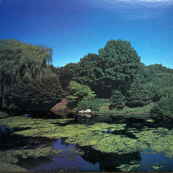 Shellac : Terraform (LP, Album, 180)