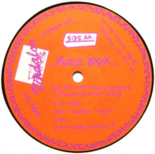 We've Got A Fuzzbox And We're Gonna Use It : Rules And Regulations (12", S/Sided, EP, Etch)