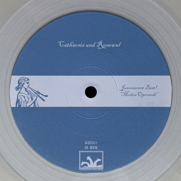 Juvenescent Beat : One Day We're Gonna Fall Through This Roof (12", Cle)