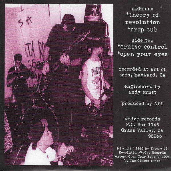 AFI : Fly In The Ointment (7", Glo)