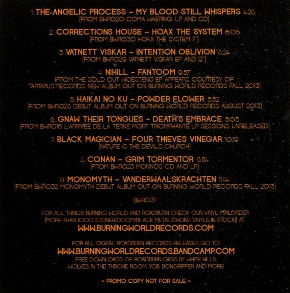 Various : Roadburn Festival 2013 (CD, Comp, Promo, Smplr)