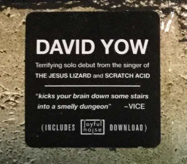 Yow* : Tonight You Look Like A Spider (LP, Album)