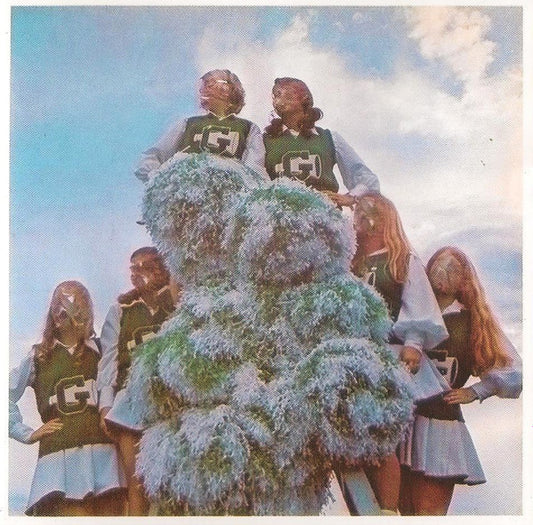 Sleigh Bells : Treats (CD, Album)
