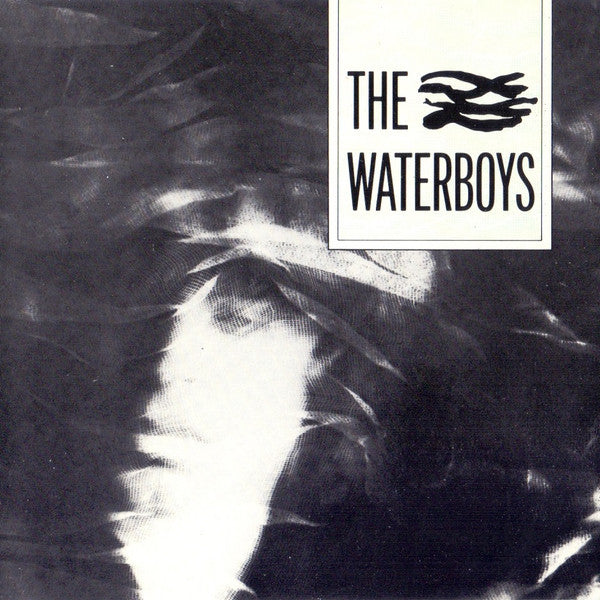 The Waterboys : The Waterboys (CD, Album, RE)