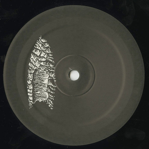 Alarms & Controls : Clovis Points (LP, Album)