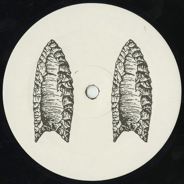 Alarms & Controls : Clovis Points (LP, Album)