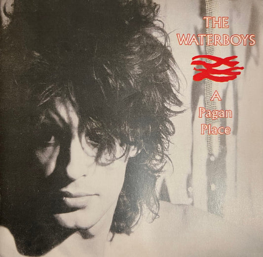 The Waterboys : A Pagan Place (CD, Album, RE, RM)