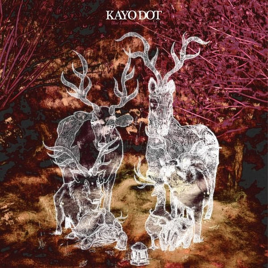 Kayo Dot : Blue Lambency Downward (CD, Album, Promo)