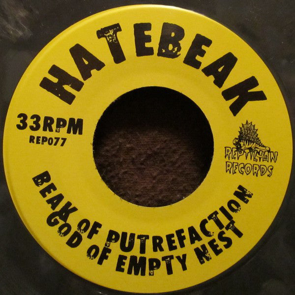 Longmont Potion Castle / Hatebeak : Metal Interlude / Beak Of Putrefaction (7", EP, Gra)
