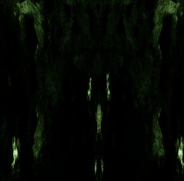 Impetuous Ritual : Unholy Congregation Of Hypocritical Ambivalence (CD, Album)