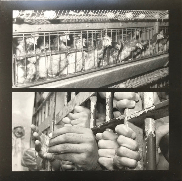 Thisclose (2) : One Foot In The Grave (LP, Album)