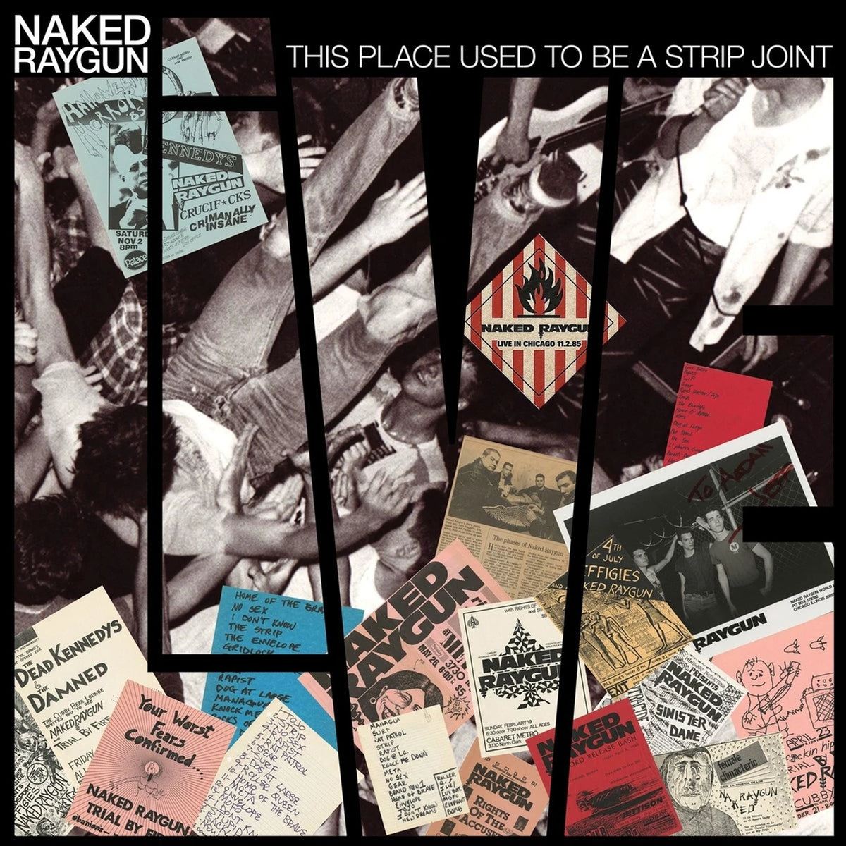 Naked Raygun - This Place Used to Be a Strip Joint LP