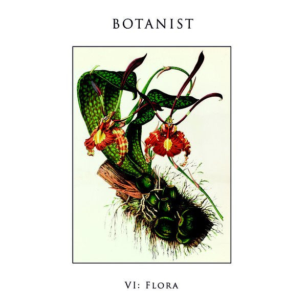 Botanist : VI: Flora (LP, Album, Ltd)