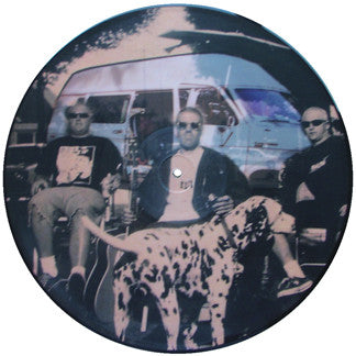 Sublime (2) : Stand By Your Van (LP, Ltd, Pic, S/Edition)