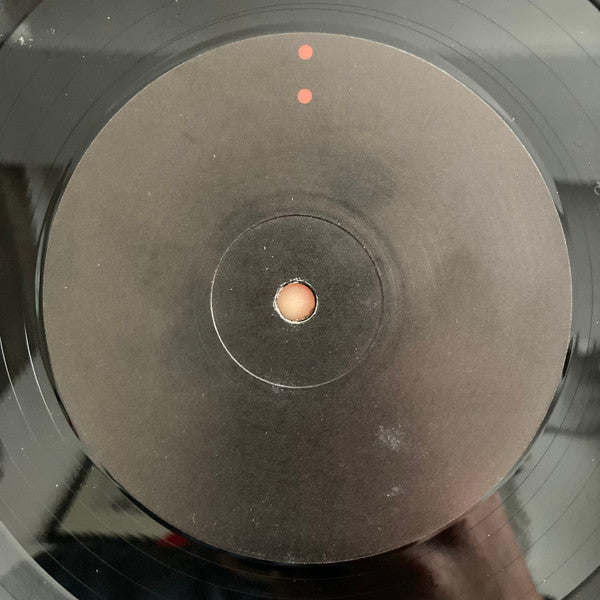 Gastr Del Sol : Camoufleur (LP, Album)