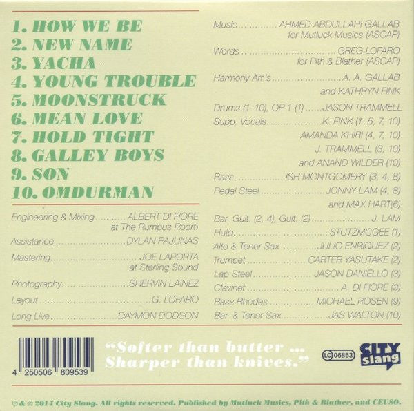 Sinkane : Mean Love  (CD, Album)