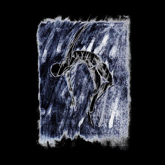 Laster (2) : De Verste Verte Is Hier (LP, Album, Ltd)