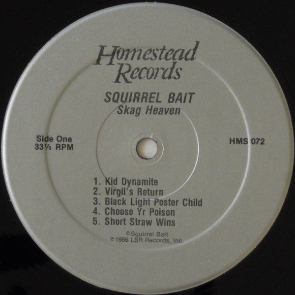 Squirrel Bait : Skag Heaven (LP, Album, Sil)