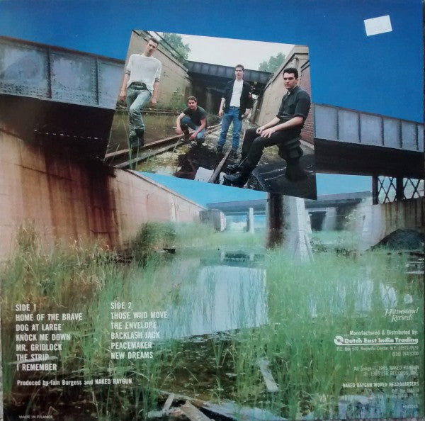 Naked Raygun : All Rise (LP, Album, Die)