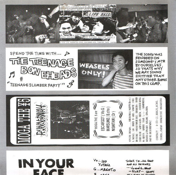 Various : A Tribute To Screeching Weasel - Stab Weasel To Death (2x7", Comp, Ltd)