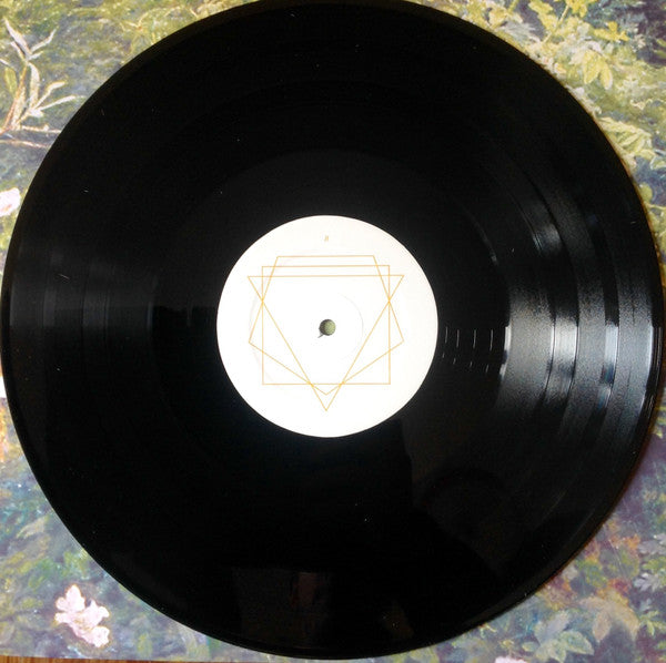 Sannhet : Revisionist (LP, Album)