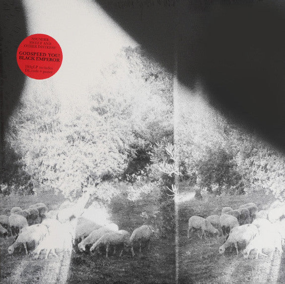 Godspeed You! Black Emperor* : Asunder, Sweet And Other Distress (LP, Album, 180)