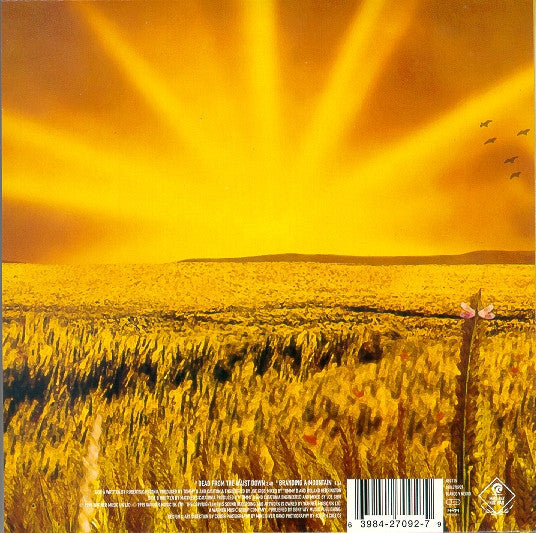 Catatonia : Dead From The Waist Down (7", Single, Ltd, Yel)