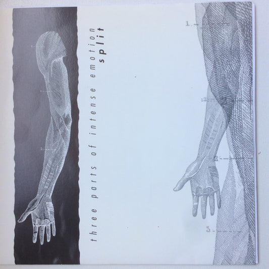 Springwater (2) / Linsay / Deamons Jaded Passion* : Three Parts Of Intense Emotion - Split (7", RP, Whi)
