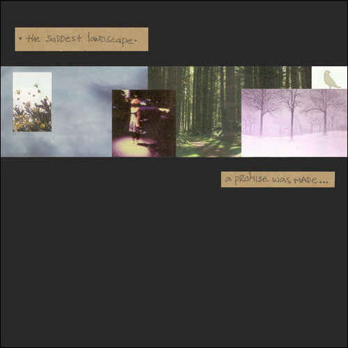 The Saddest Landscape : A Promise Was Made... (10", EP, Pin)