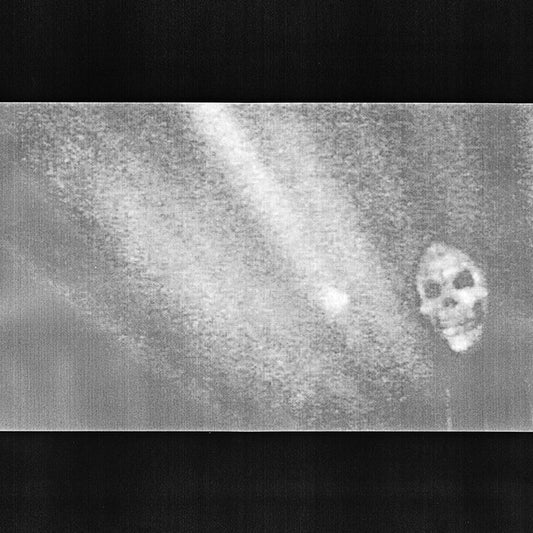 Sealings : I'm a Bastard (LP, Album, Gre)