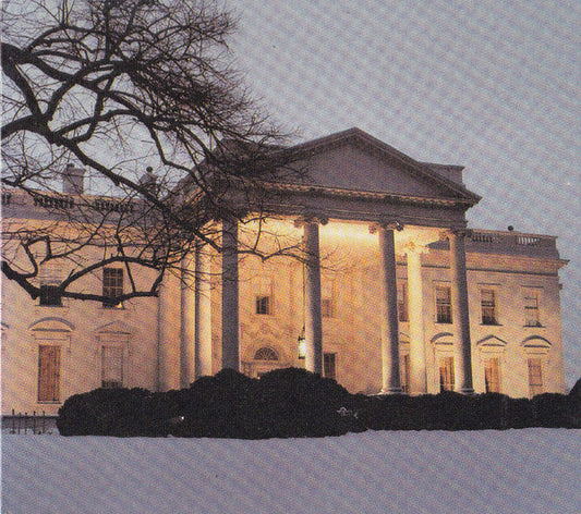 The Dead C : The White House (CD, Album)