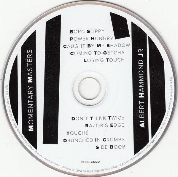 Albert Hammond Jr. : Momentary Masters (CD, Album)