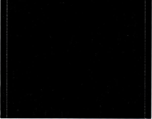 Beirut : The Flying Club Cup (CD, Album)