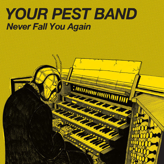 Your Pest Band : Never Fall You Again (7")