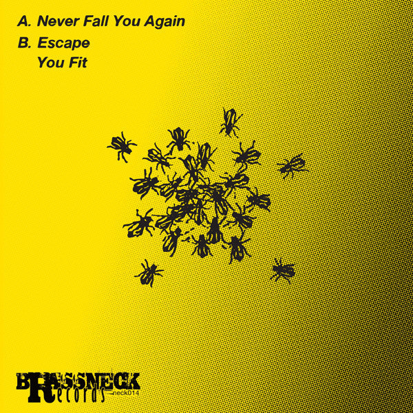 Your Pest Band : Never Fall You Again (7")