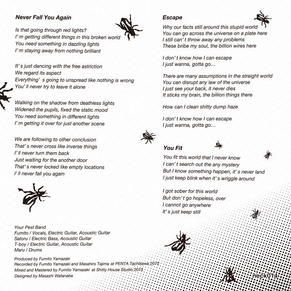 Your Pest Band : Never Fall You Again (7")
