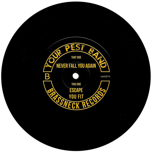Your Pest Band : Never Fall You Again (7")