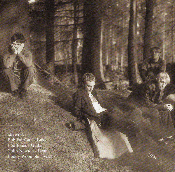 Idlewild : Hope Is Important (CD, Album)