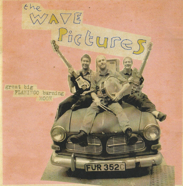 The Wave Pictures : Great Big Flamingo Burning Moon (CDr, Single, Promo)
